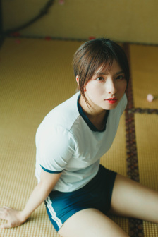 动画版